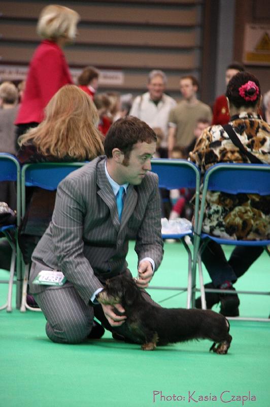 Crufts2011_2 1109.jpg